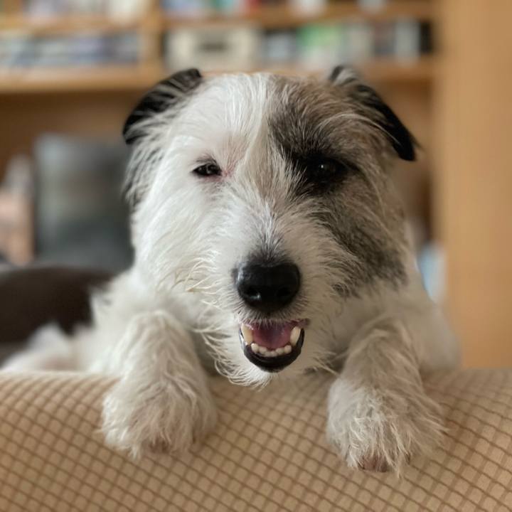 834cea5e 1a1a 4f67 a1a7 567a92c30c54 1656891200743