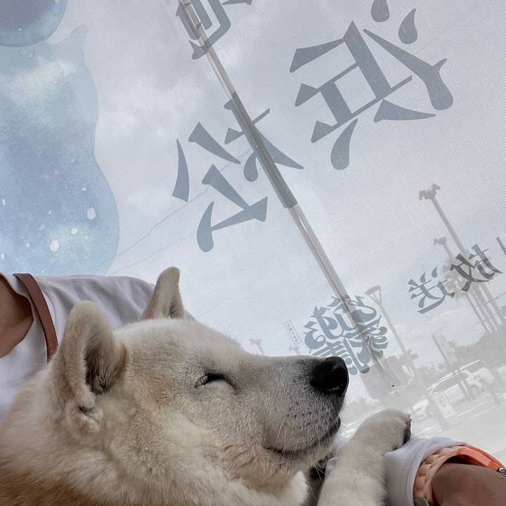 834cef98 c958 4e4c 84a5 872fe13a5a9a 1683257088101