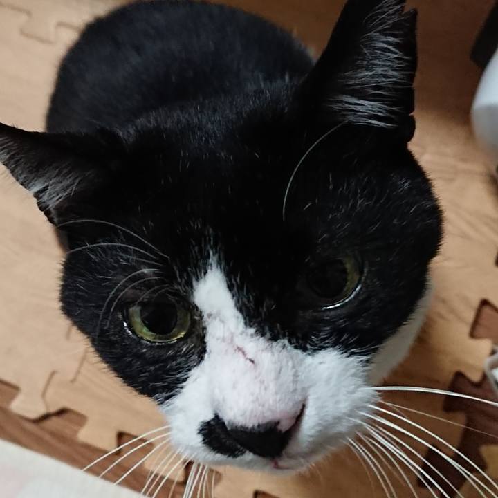 834d0d08 bb7f 4b39 825a a1e64604fead 1541842902200