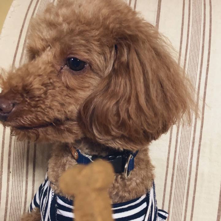 834d3814 553d 40a7 9480 2fe00c643cd7 1558351294980