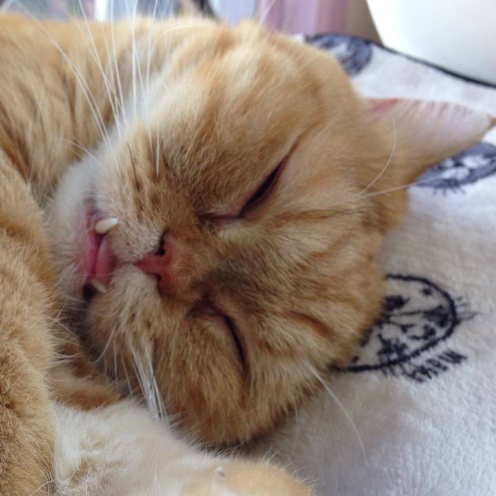 834d392a f88d 4e65 99d5 5a617e14cd89 1510711863965