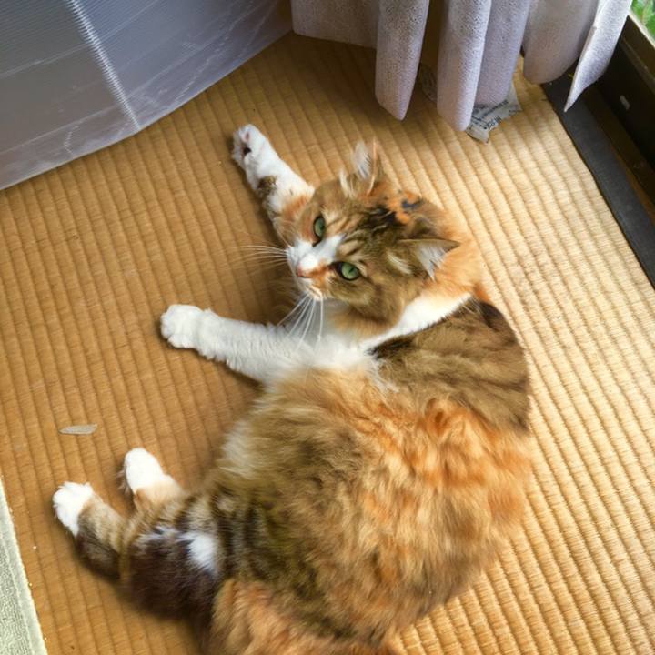 834d5f08 688a 411e aca1 4a9a362f7984 1559099071325