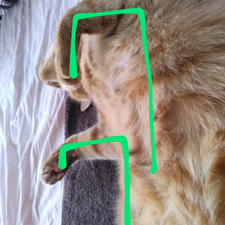 834ddd18 51ec 4a2b be0e 2c730f812bf3 1687309652221
