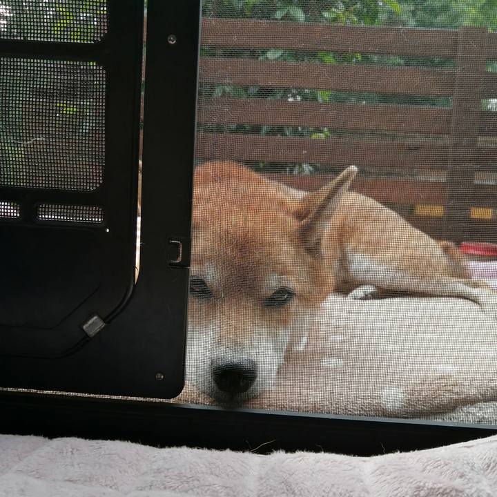 834dfaeb 9c14 4f0d a5b8 bb31a91db778 1604278100104