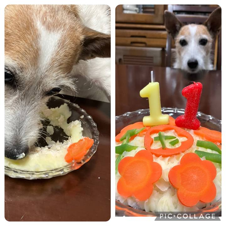 834e1373 3541 4209 abc4 8c330aa6a5c2 1735795416367