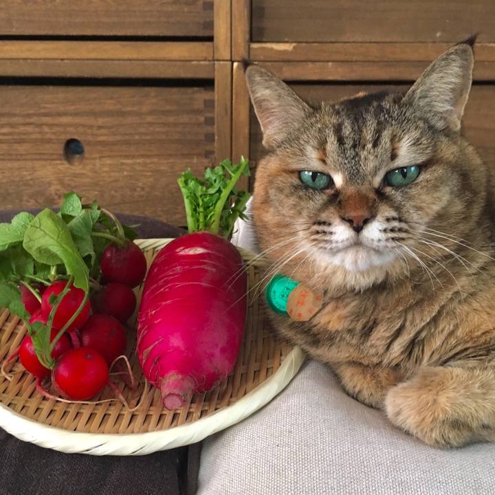 834e5d8a 9fc0 41f3 9581 35fca572ad21 1513911404494