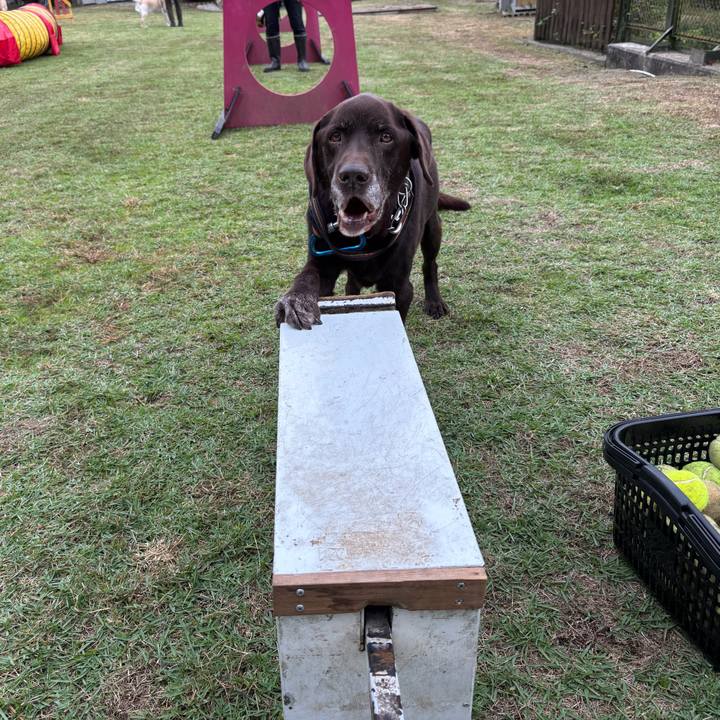 834e6cfa fb3b 4f3a afc8 8fb278f59c5b 1761462602697