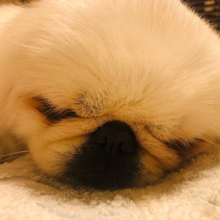 834e9e89 4eac 44f6 ad1d f4b28c6be21c 1621241975149