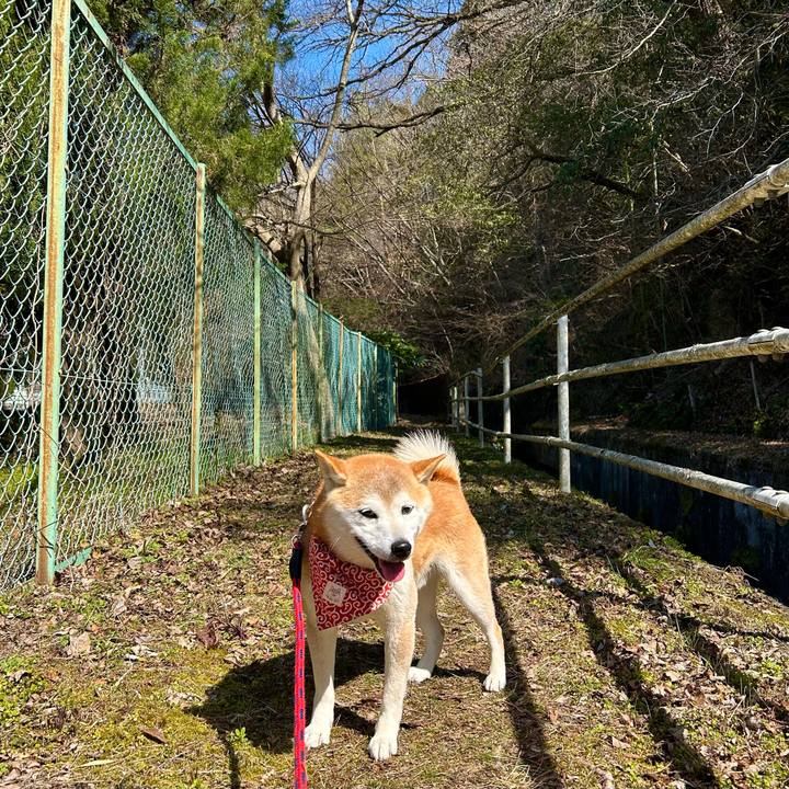 834eb7ba 4b27 48be 87f1 df1a404dcdf6 1710146473388