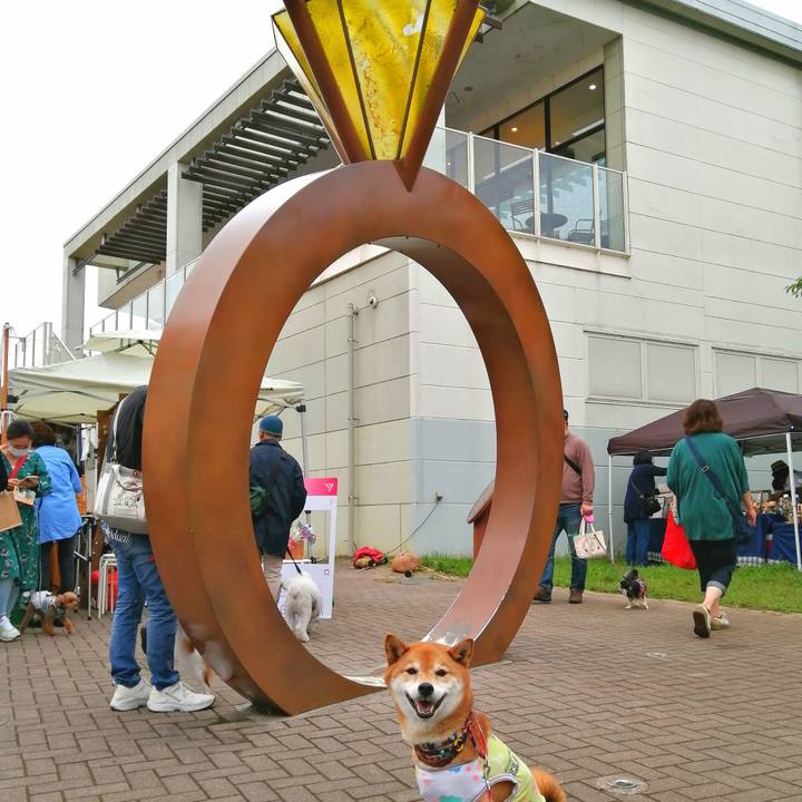 834ebb5b c317 4820 8e1c 6ff6f487b17a 1652662566820