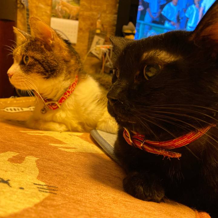 834ec09f 4301 4cd7 9519 75c6422ee2a8 1603889647270