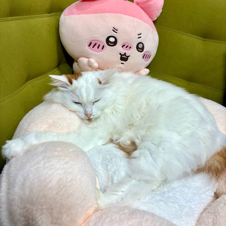 834ec547 5037 426e bd58 9066d56f7585 1761188355598