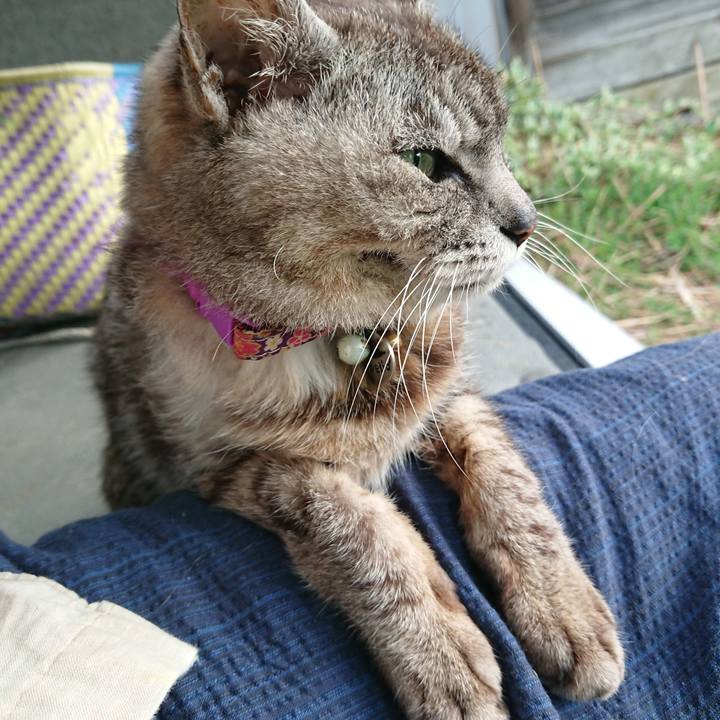 834ee299 0bd6 47f8 be7e 99e4607d2182 1593721378392