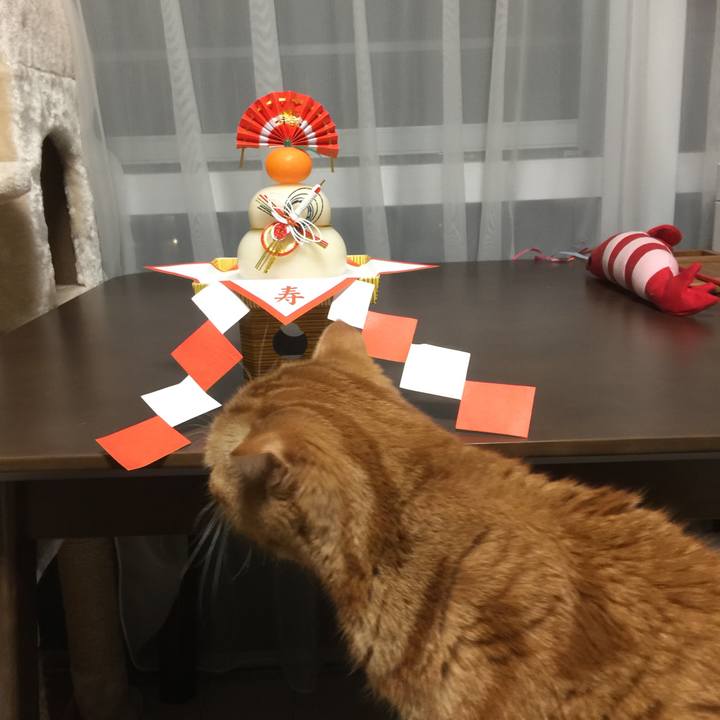 834ee2c9 50ea 4ac1 a833 8527b80381c8 1577789267778