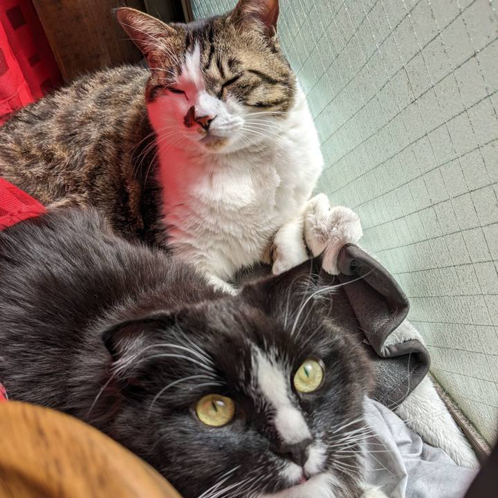 834ef2de 3f88 4434 8102 63a4a284e43a 1709261868125