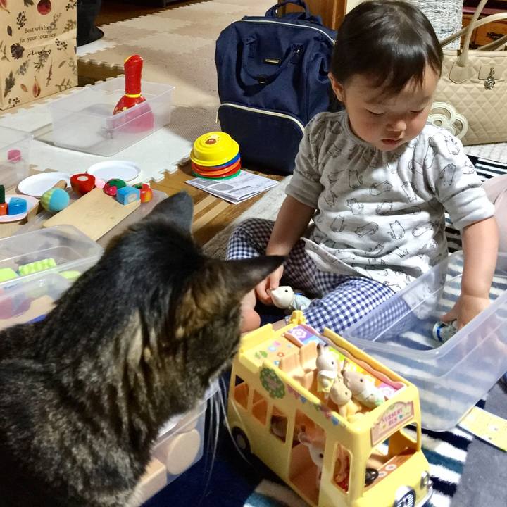 834f0670 4fa1 414f 8d81 0b09d9c75eba 1527318470832