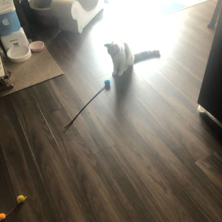 834f140f d094 4d21 a7b5 1877ce8b836d 1570404833081