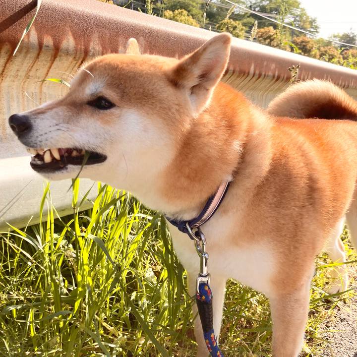 834f1e53 c1a9 4686 ac97 8c6044651488 1682153944068