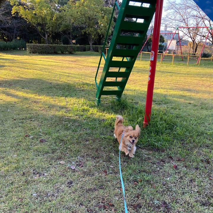 834f4ea1 2f17 4b12 af7e 2c314385fb25 1572822285586