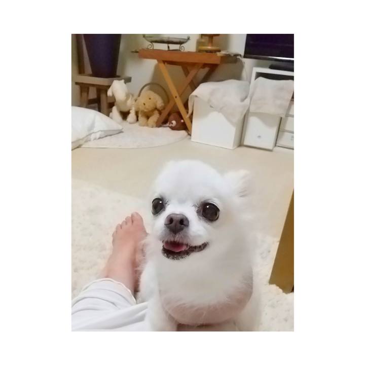 834f7ad5 c18a 42d9 8332 b329642dbd84 1632744937668