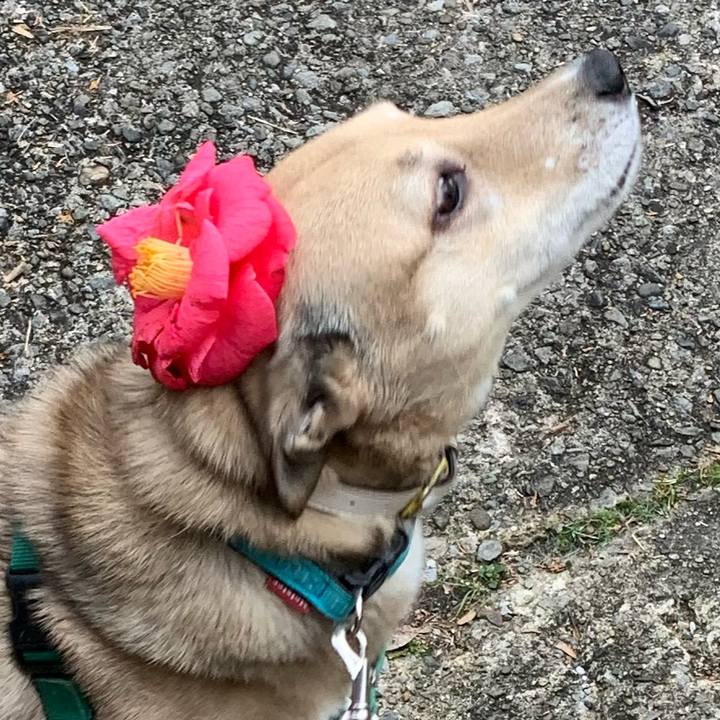 834f9cb0 8ae5 4ced a4b7 6aada5b3ad64 1639825303851