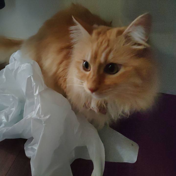 834fa1b4 831d 40db bde6 87e45ca33bba 1719740615466