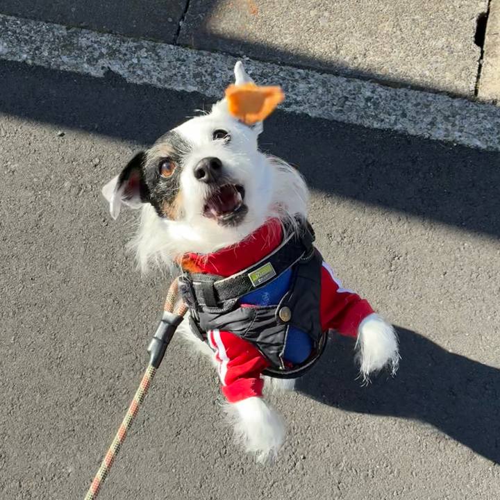 834fb711 9647 4780 a83d ef0e81a7f85b 1770080673901