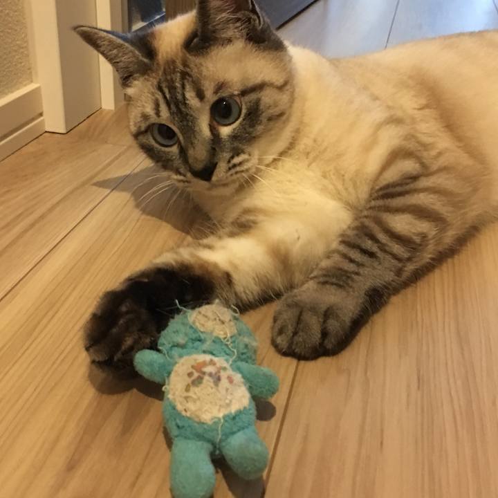 834fb9dd 3eff 44e7 bd4f 549f6bea5b42 1560491951264