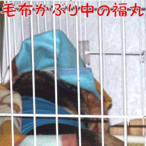 834fe8c6 f70b 4ccd 8721 e4ed7e45ae09 1709770617649