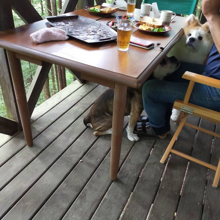 835007e9 dd72 4482 9f90 cec89b6172b0 1660307751347