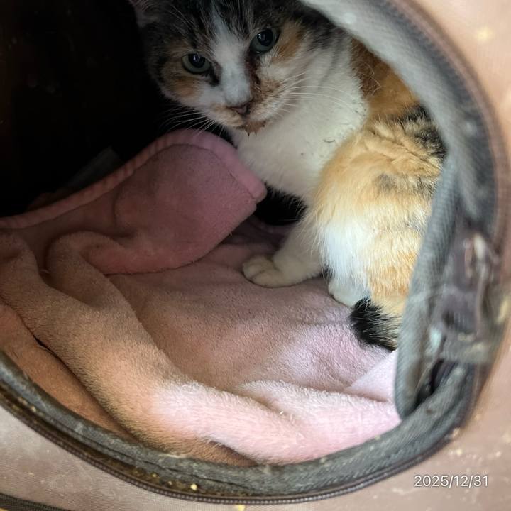 83501fdf de2c 4846 96fe c7110eb23418 1767147810269