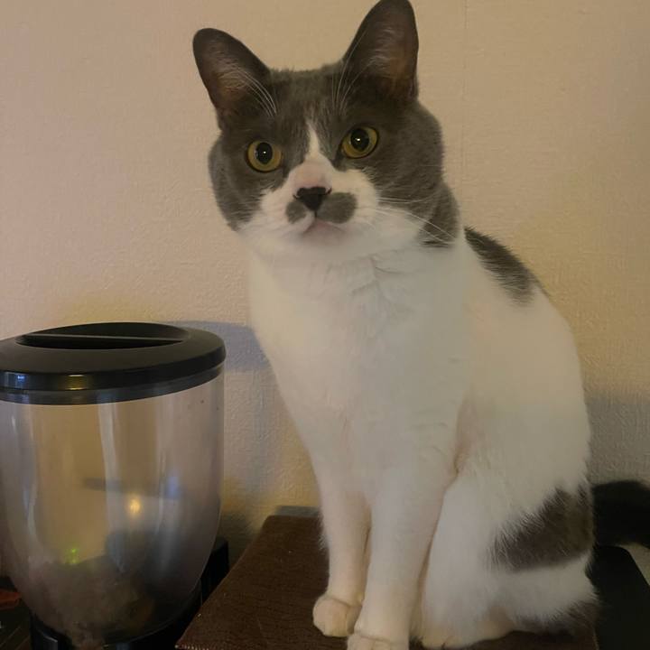 8350310c 5674 401b 9434 833d281d027f 1737590493224