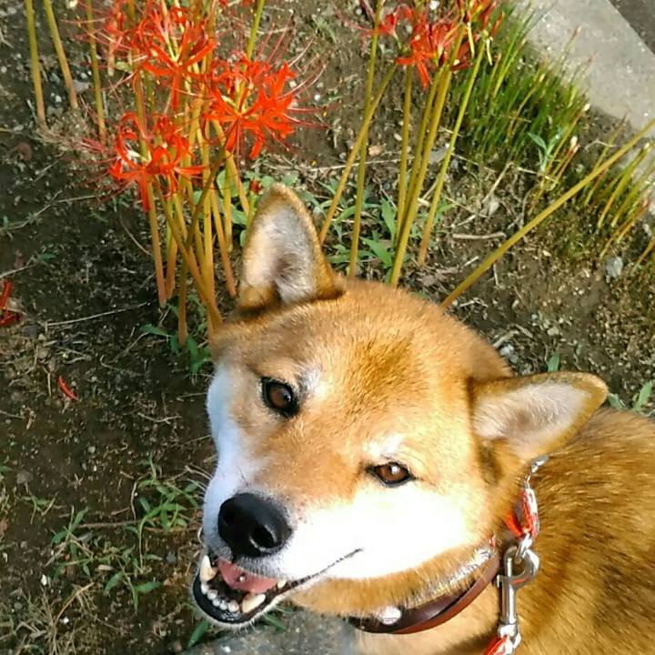 8350425a 7ce1 4591 8a46 9e87740c571a 1537321548261