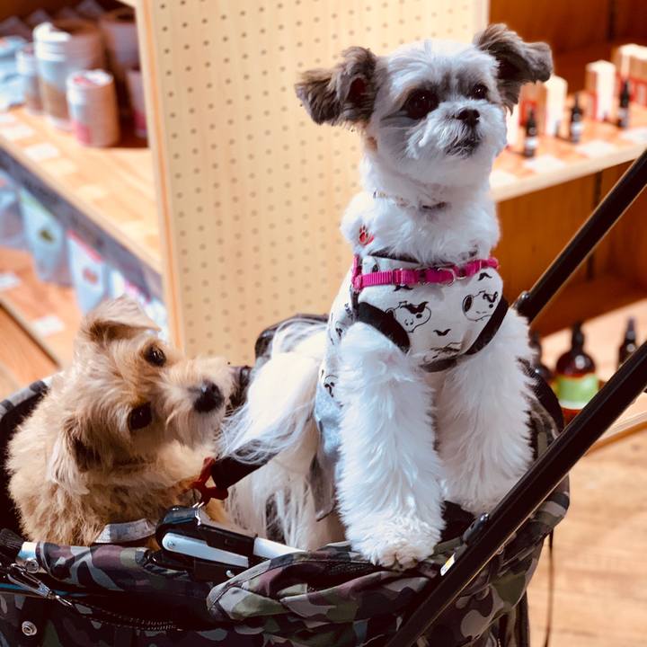 83506745 36b6 470e 9149 50022a35fb04 1573460755411