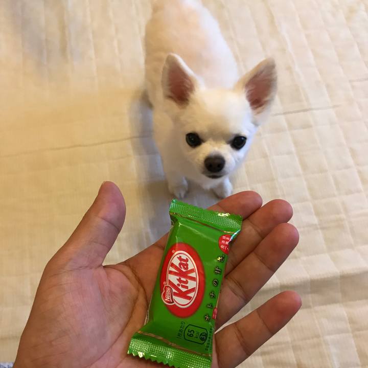 83507758 5592 4cde a927 a9069cef7198 1507950141528