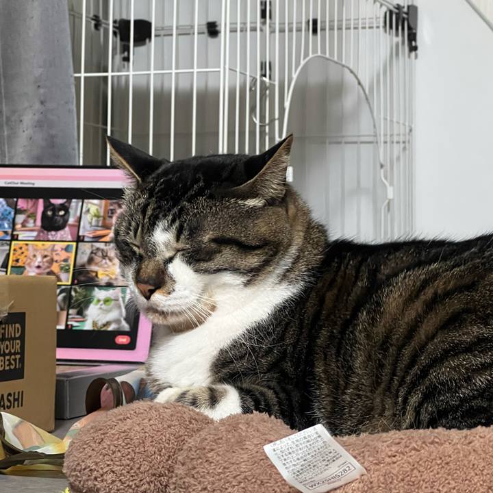 83508fbc 04a5 4255 bf0e 43579cdf39c3 1769426947923