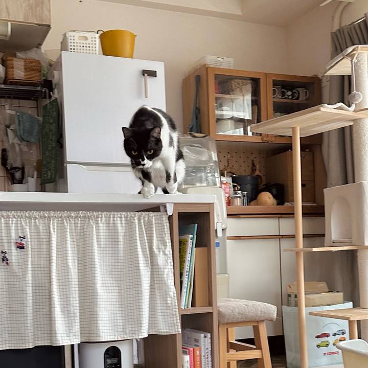 83509230 21ba 4c98 9d95 5d7b2add5ad6 1752979646976