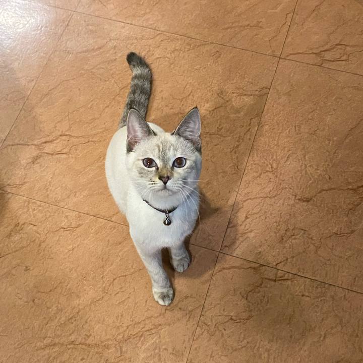 8350c8c7 b13d 4f21 8a5b 3f16acb8b310 1636797654982