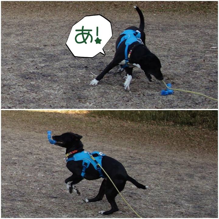 83512651 94d5 4012 baf1 dc5c5874a0e8 1613693034890