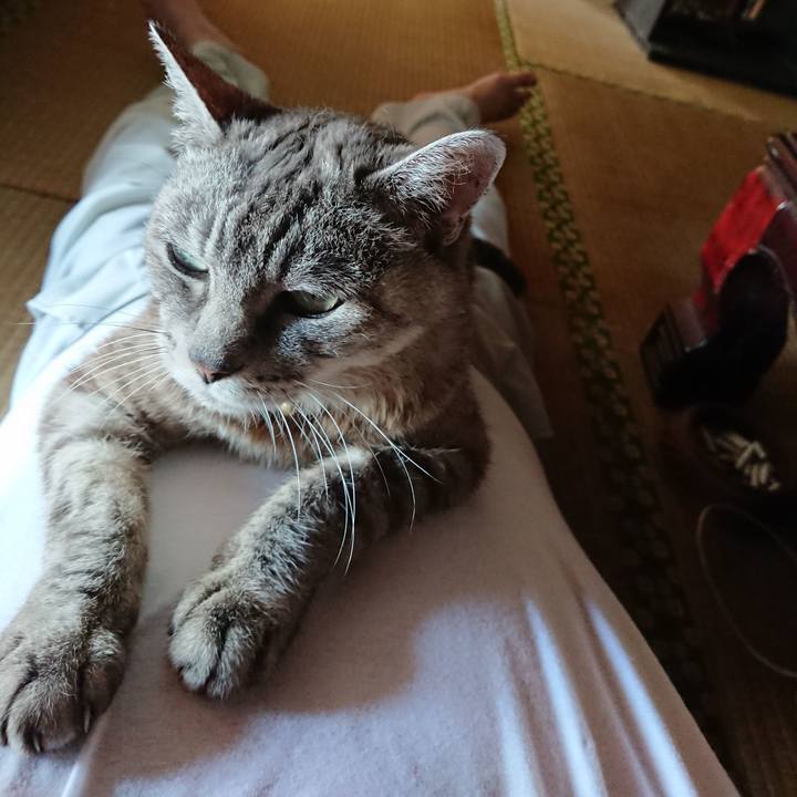 83512c5a 23fe 4e28 a7ee f596a5f52502 1568520310143