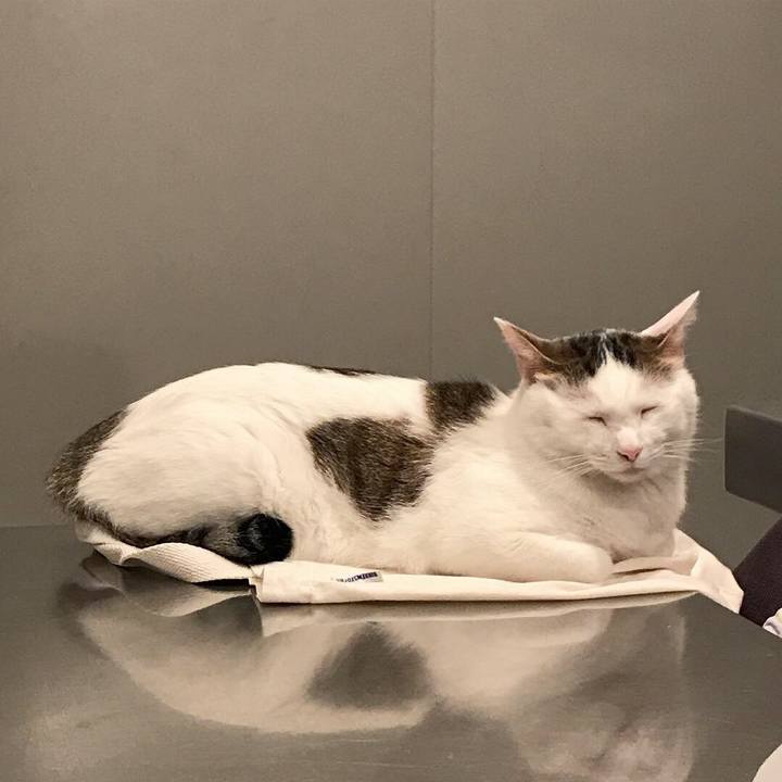 83513a28 2fa5 43bd 8fda d2fca86ff8ae 1538904098190