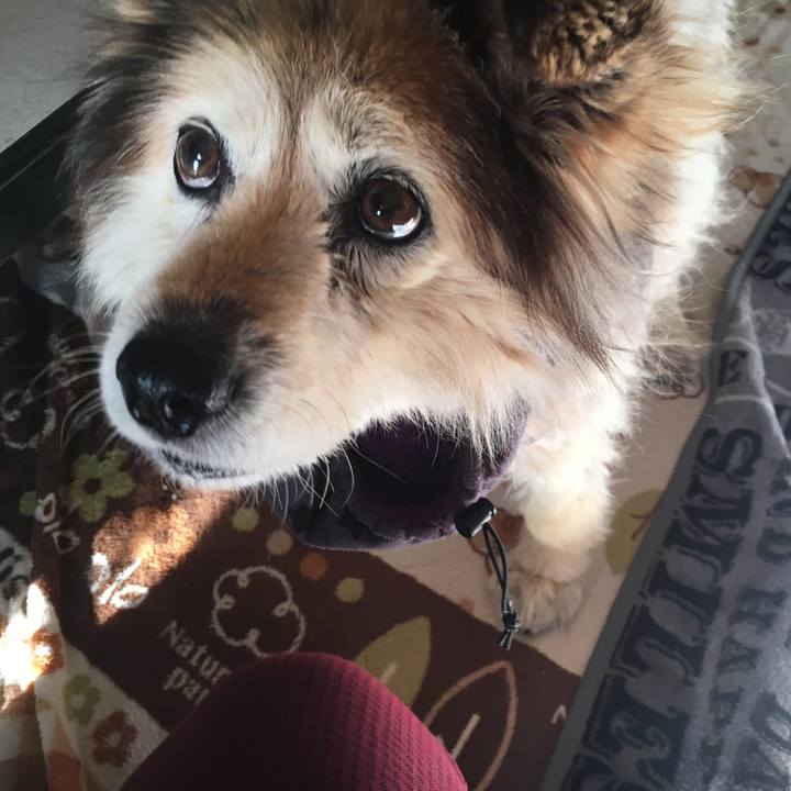 835140dc c138 4170 aeda c0a2865f15ad 1549935923394