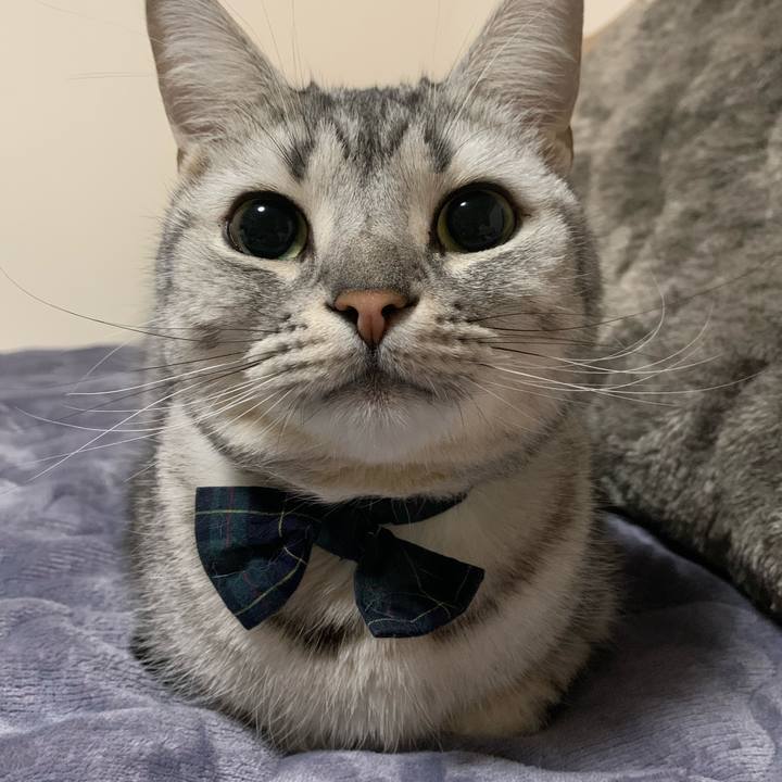 835179c2 7713 4505 974a 83310e033af2 1611632664565