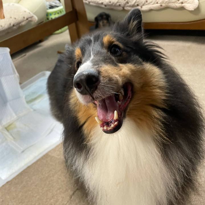 83517b93 1684 46c8 be2f f7c6c5d7a794 1630446185803