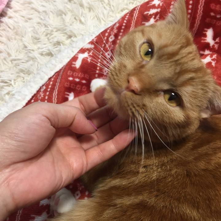 83517cf9 ba1b 4a41 afe4 168e3cef0c90 1550387505998