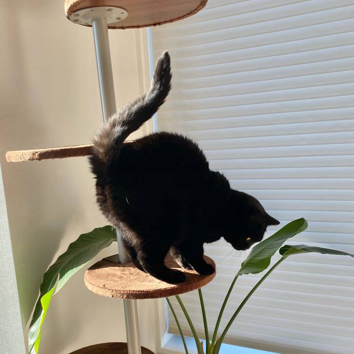 8351ae12 47da 4eb5 8099 1044a5c7aef2 1604555656519