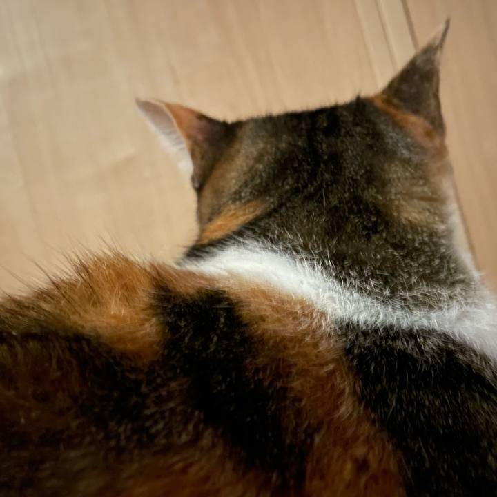 8351d90d 7ac6 4fff bb66 257c3c8ac85e 1655659184314