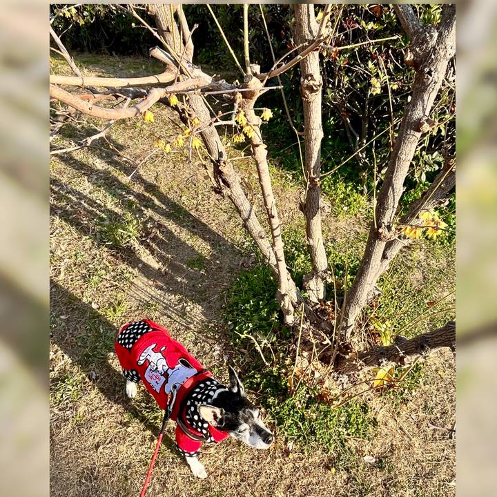 8351dffd c689 441b b02a ff6d7c6ad495 1644568929380