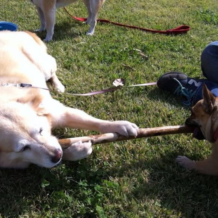 8351e5ee 1a6a 4bc6 a94c 8a9027165a51 1538579328248