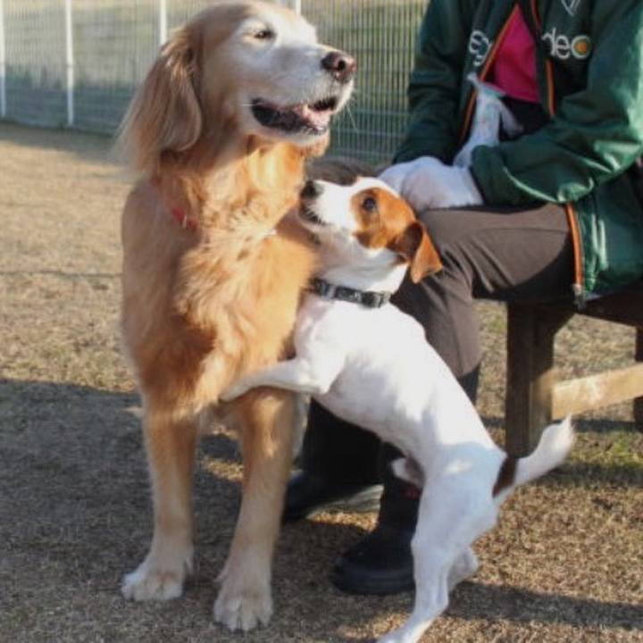 8351e727 36bc 4a86 b95a 8379b545e56c 1511942182113